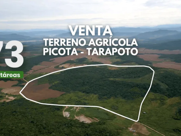 Pemisa Inmobiliaria | Terreno En Venta En Picota San Martín |