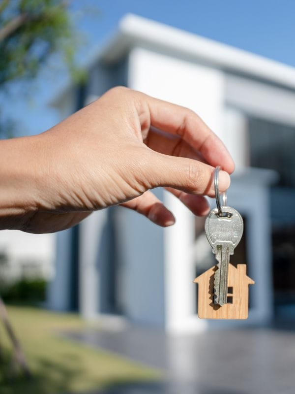 Pemisa Inmobiliaria Img4